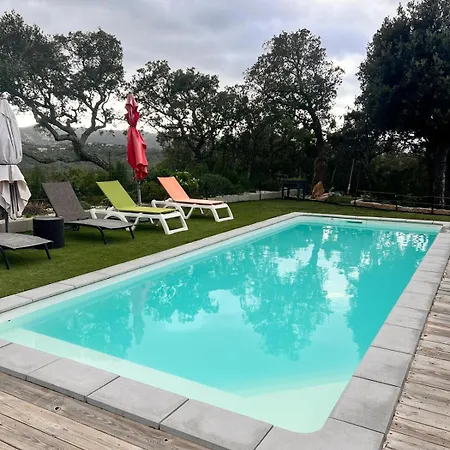 Maison Terra Bella, Experience Authentique En Plein Coeur Du Maquis, Piscine Feriehus