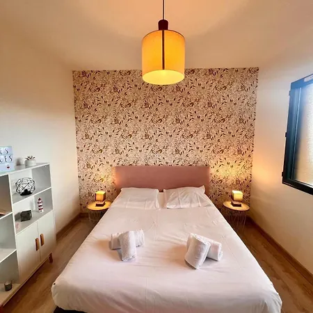 Maison Terra Bella, Experience Authentique En Plein Coeur Du Maquis, Piscine Sotta