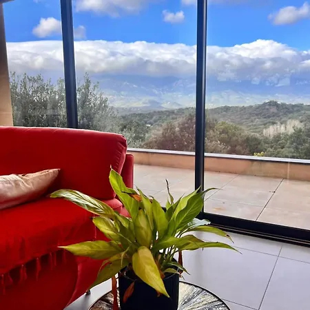 Maison Terra Bella, Experience Authentique En Plein Coeur Du Maquis, Piscine